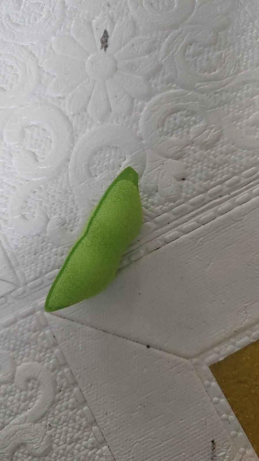 Beans Shaped Bottle Cleaning Sponge Pack of 2
